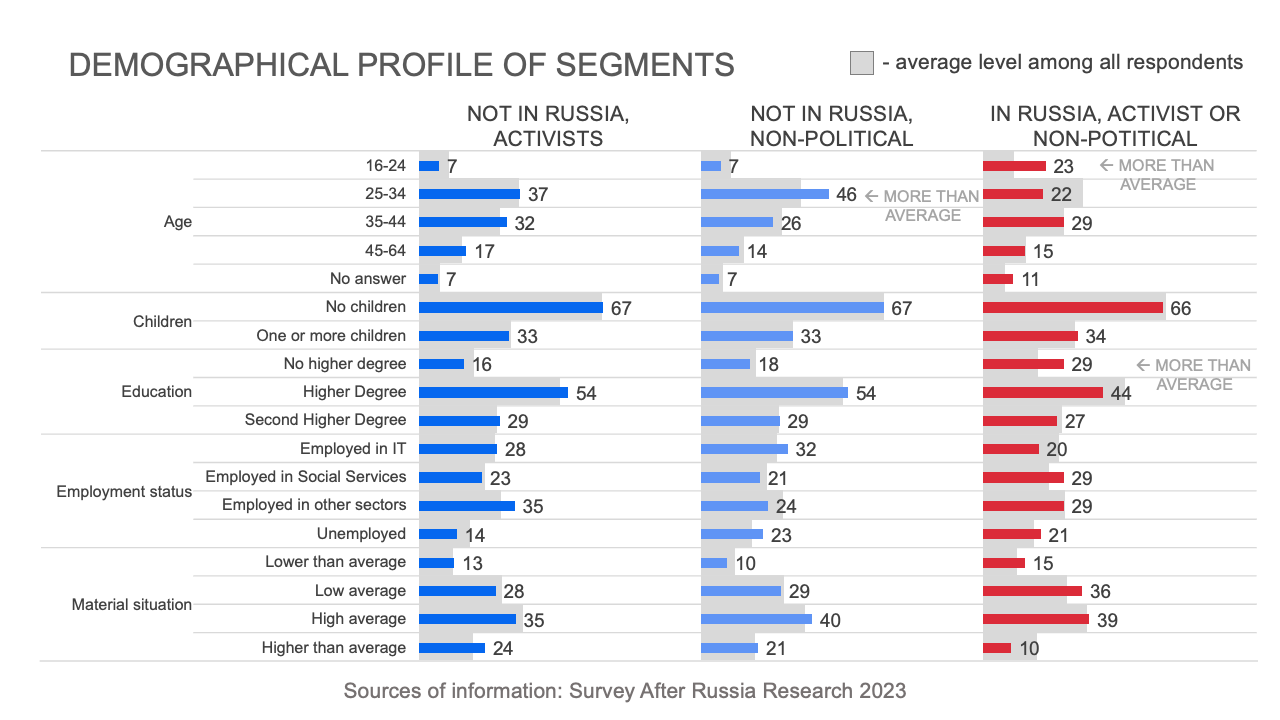 Demographical profile of segments